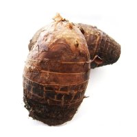 最新更新数码_天极网2010暑促专区--笔记本一体机手机数码