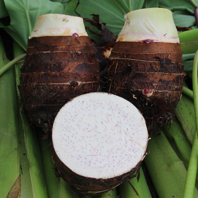 天津房地产资讯_天津房地产新闻-天下